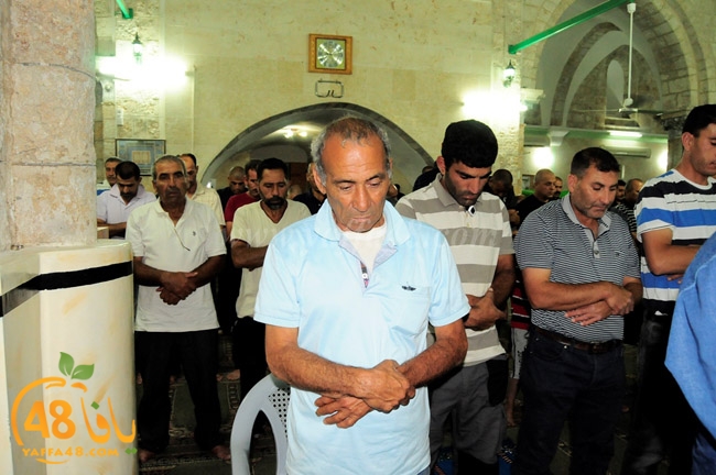 trawe7 ramla kaber (14).JPG